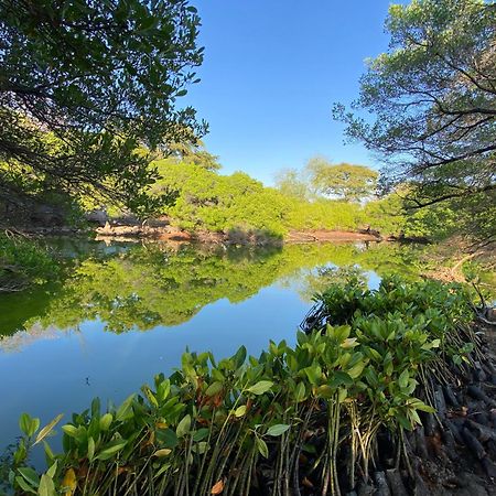 Badini Homestay Pemuteran Buitenkant foto