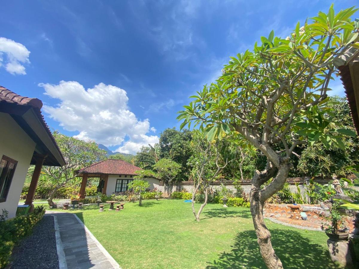 Badini Homestay Pemuteran Buitenkant foto